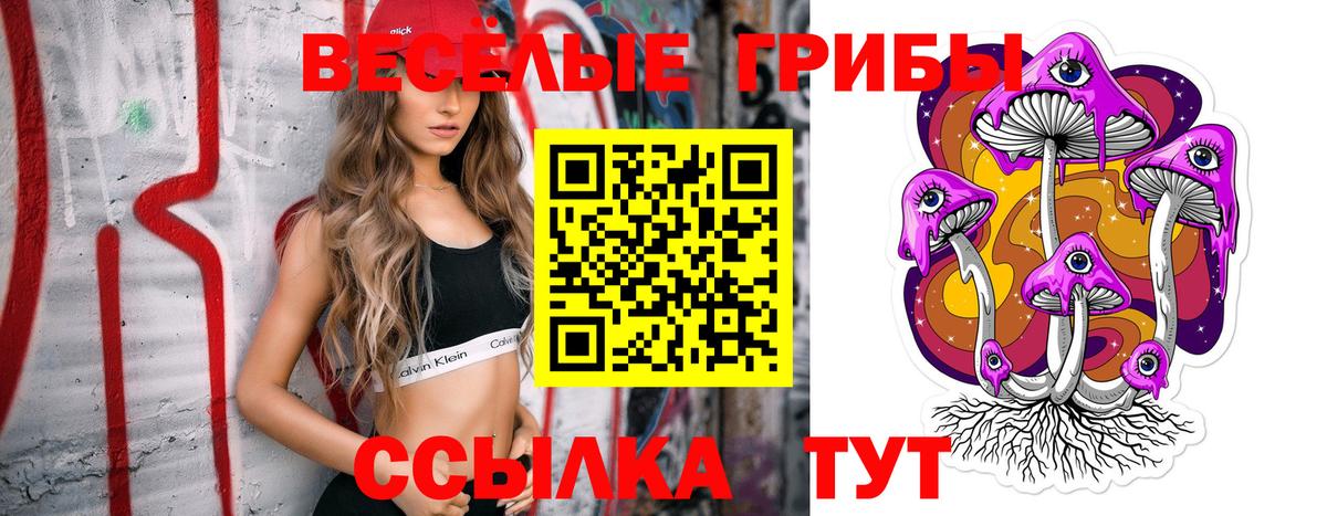 где купить   Галлюциногенные грибы Magic Shrooms  Сатка  Вход с VPN  Галлюциногенные грибы Psilocybe 