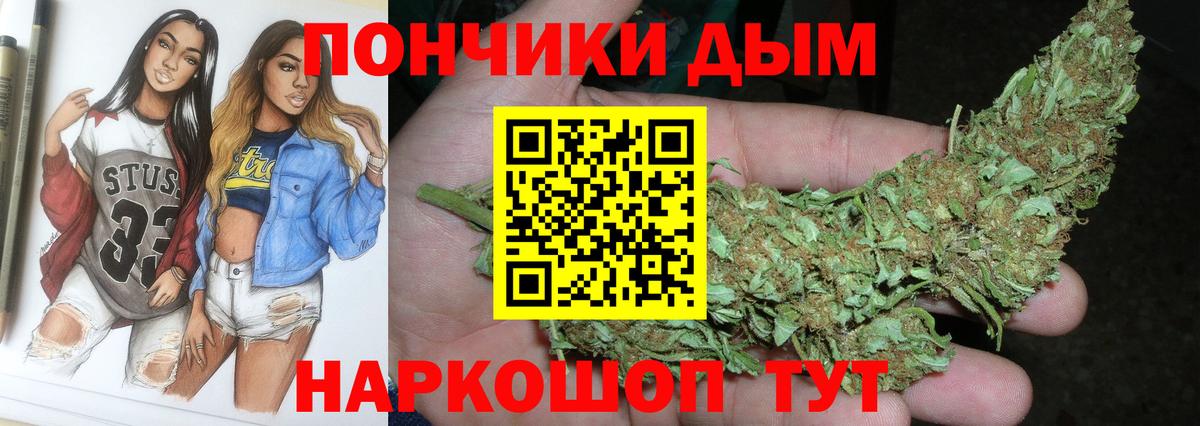 Бошки Шишки семена Сатка
